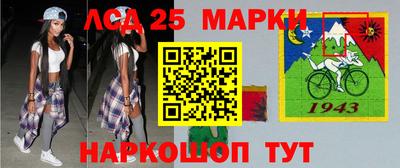 гидра Бердск