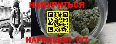 гидра Бердск