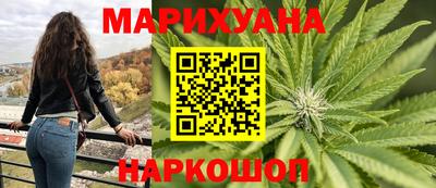 гидра Бердск