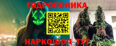 PSILOCYBIN Братск