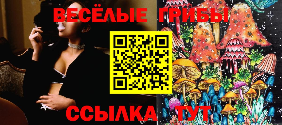 Псилоцибиновые грибы Psilocybine cubensis  Вход с VPN  Псилоцибиновые грибы Magic Shrooms  Артёмовский 